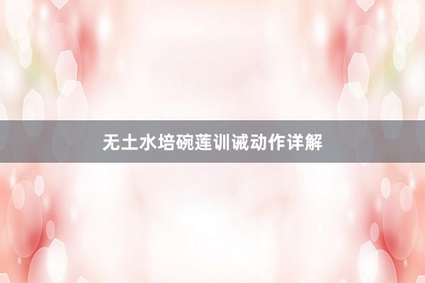 无土水培碗莲训诫动作详解