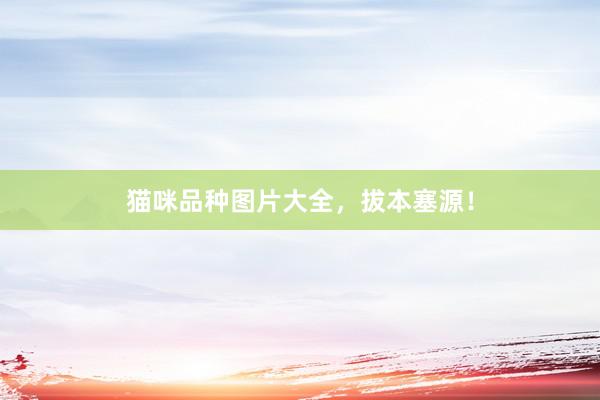 猫咪品种图片大全，拔本塞源！